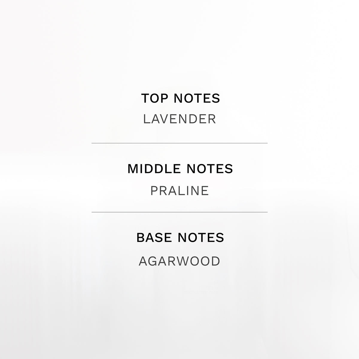 B Perfume’s CITYMAN Long lasting Extrait de Parfum