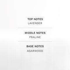 B Perfume’s CITYMAN Long lasting Extrait de Parfum