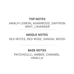 B Perfume’s INFUSION Long lasting Extrait de Parfum